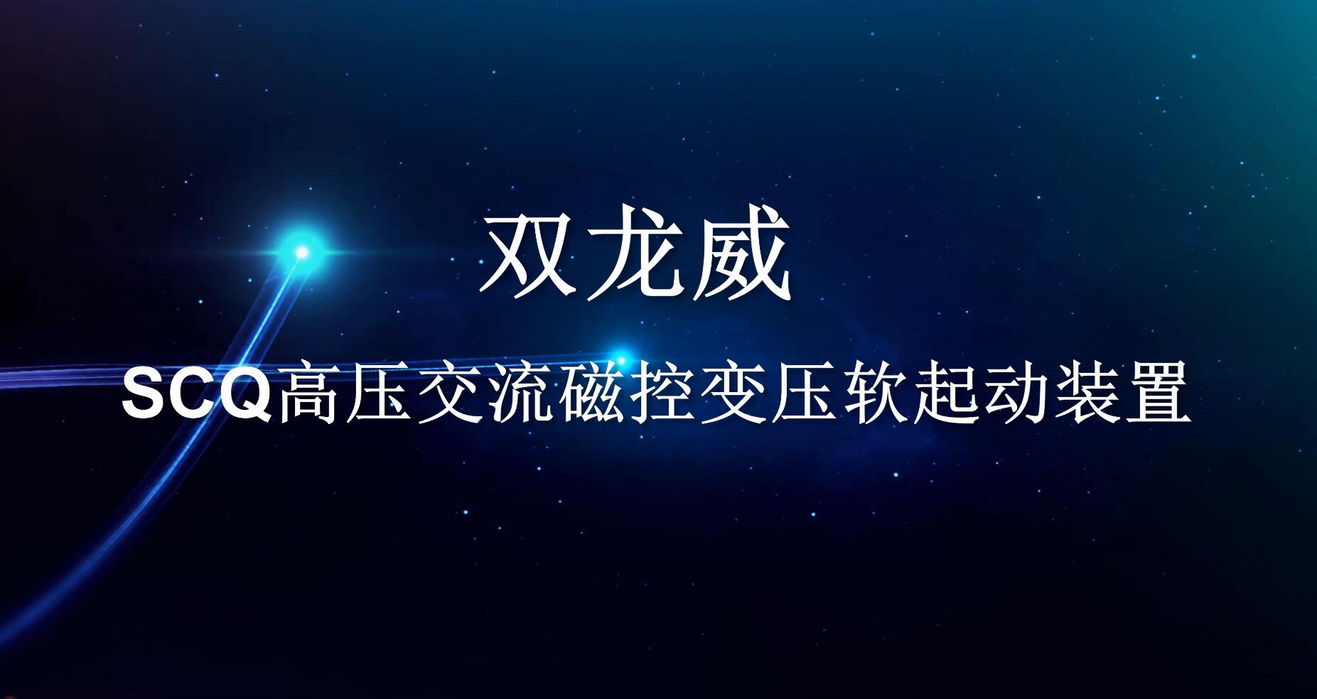 视频五